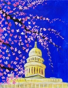 An image painting of Cherry Blossoms Surrounding the US Capitol Building, suitable for Paint and Sip
